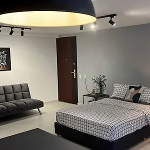 Loft De Lujo Zona Rosa Apartment